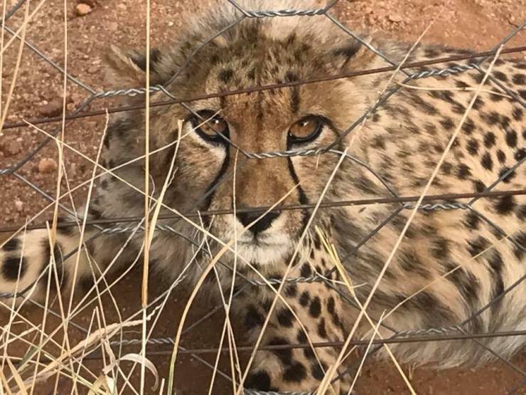 27544857_1536330069755568_7730637498303484859_n