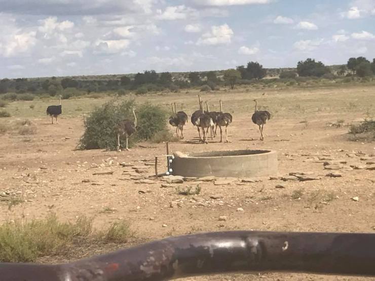 27867180_1546121038776471_7562877124963283090_n