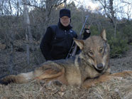 Image result for steven chancellor