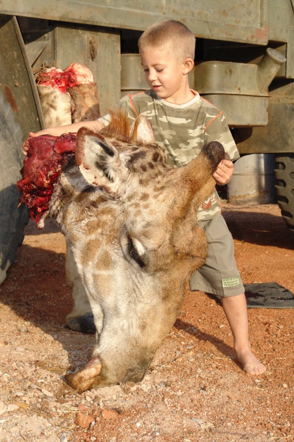 Image result for trophy hunter