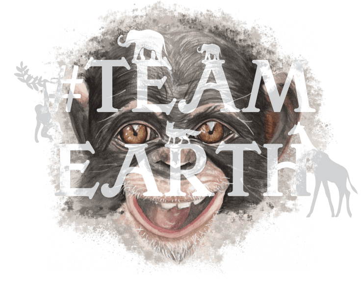 teamearth logo monkey