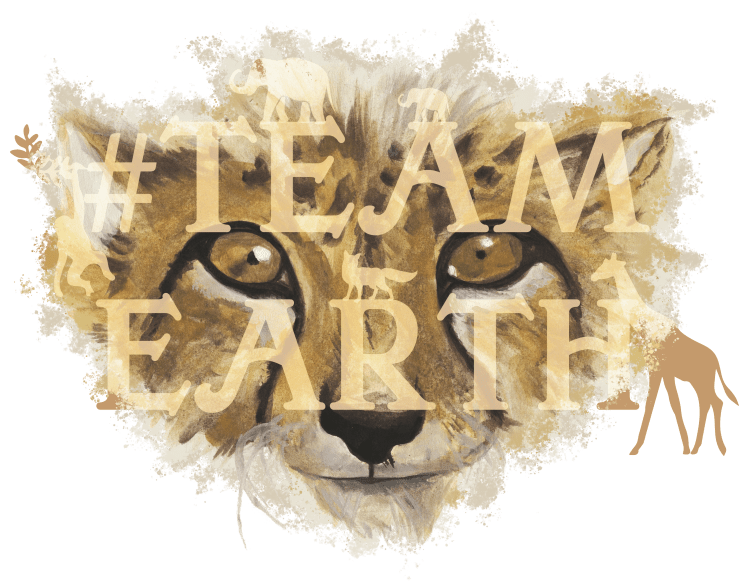 teamearth logo